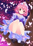  breasts butterfly cherry_blossoms choker cleavage high_heels highres japanese_clothes mist1129 no_hat no_headwear petals pink_eyes pink_hair saigyouji_yuyuko sash shoes short_hair sitting smile solo touhou tree triangular_headpiece wide_sleeves 