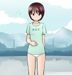 1girl brown_eyes brown_hair cloud clouds hiwatari landscape light_smile lowleg lowleg_panties mountain no_pants outdoors panties power_lines short_hair sky solo tanaka_rikimaru translated underwear white_panties yotsubato!