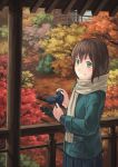  autumn blush brown_hair camera eichisu green_eyes highres leaf original scarf scenery short_hair skirt smile solo standing tree 