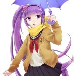  purple_hair scarf scrunchie side_ponytail skirt solo sophie_(tales_of_graces) tales_of_(series) tales_of_graces umbrella 