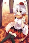  animal_ears black_legwear blush hat inubashiri_momiji leaf looking_at_viewer maple_leaf matsuri_uta red_eyes scarf short_hair sitting smile solo tail thigh-highs thighhighs tokin_hat touhou white_hair wolf_ears wolf_tail 