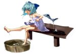  alternate_costume aqua_eyes aqua_hair bare_legs bare_shoulders barefoot bow bucket bucket_of_water cirno dress dress_lift feet feet_in_water hair_bow hot ice kirisato_itsuki legs melting mouth_hold oekaki outstretched_leg popsicle short_hair simple_background sitting soaking_feet soles solo sundress sweat toes touhou water white_background wings 