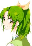  green_eyes green_hair looking_at_viewer midorikawa_nao ponytail precure short_hair simple_background smile smile_precure! solo tima white_background 