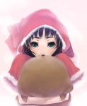  black_hair blue_eyes capybara capybara-san eyebrows fur_trim green_eyes hood hug kirigaya_suguha santa_costume short_hair solo stuffed_animal stuffed_toy sword_art_online tomokatsu 