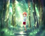  alternate_eye_color aqua_eyes child elfen_lied forest grass horns lucy nature pink_hair short_hair skirt solo standing sunlight t-shirt tree yayoi_(pipi) young 
