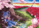  barefoot blue_hair cherry_blossoms cirno closed_eyes dress eyes_closed flower flower_field ice petals short_hair solo touhou yamu_(artist) 