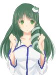  breasts detached_sleeves frog_hair_ornament green_eyes green_hair hair_ornament highres kochiya_sanae smile snake_hair_ornament solo touhou x&amp;x&amp;x 