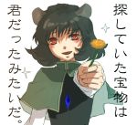  face flower foreshortening hands nazrin short_hair touhou translated translation_request vica 