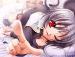  basket bed foreshortening grey_hair jewelry lying mouse mouse_ears mouse_tail nazrin pendant red_eyes short_hair tail touhou uraomote 