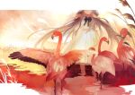  bird bunching_hair cattail dress flamingo head_out_of_frame light_smile long_hair nineo original plant solo twintails very_long_hair wading water white_dress 