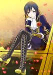  arm_support ascot blue_eyes blue_hair boots boutonniere chin_rest cross-laced_footwear crossed_legs flower gloves high_collar kaito kikuchi_mataha lace-up_boots legs_crossed looking_at_viewer petals project_diva project_diva_f rose scar short_hair sitting smile solo vocaloid 