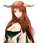  1girl breasts cleavage horns large_breasts liuruoyu8888 long_hair maou_(maoyuu) maoyuu_maou_yuusha red_eyes red_hair redhead smile solo 