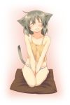  1girl animal_ears blush cat_ears cat_tail closed_eyes copyright_request eyes_closed flat_chest grin highres majima_yuki panties seiza short_hair sitting smile solo tail underwear v_arms 