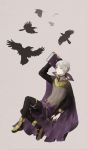  1boy bird book cape choushi closed_eyes crow fire_emblem fire_emblem:_kakusei henry_(fire_emblem) male short_hair smile solo white_hair 