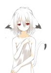  1girl animal_ears cat_ears cat_tail covering flat_chest looking_at_viewer majima_yuki nude nude_cover original red_eyes short_hair simple_background solo tail wet white_background white_hair 