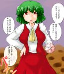  1girl flower green_hair hand_on_hip kazami_yuuka looking_at_viewer open_mouth red_eyes short_hair skirt solo sukedai sunflower touhou translation_request umbrella vest 