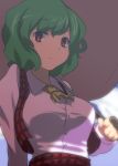 1girl ascot breasts green_hair hamu_(i33095) highres kazami_yuuka plaid short_hair solo touhou umbrella vest 