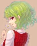  1girl aozora-c flower green_hair kazami_yuuka plaid profile red_eyes shirt short_hair solo touhou vest 