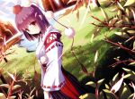  alternate_costume black_legwear dutch_angle hat kourindou_tengu_costume lake leaf light_smile nature red_eyes scenery shameimaru_aya short_hair solo tokin_hat touhou windfeathers 