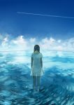  back bad_id blue brown_hair cloud clouds condensation_trail dress from_behind hair_ribbon long_hair popompon ribbon see-through seychelles_(hetalia) sky solo standing sundress twintails wading water white_dress 