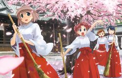  4girls :d ^_^ black_hair broom brown_eyes brown_hair cherry_blossoms closed_eyes eyes_closed hakama highres ikeda_jun japanese_clothes miko multiple_girls open_mouth original petals purple_eyes red_hair redhead short_hair shrine skirt_basket smile sweeping tree twintails violet_eyes 