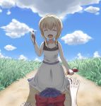  ^_^ ^o^ blonde_hair bottle bow braid closed_eyes cloud clouds crawling dress ellen_(majo_no_ie) eyes_closed grass kneeling knife majo_no_ie maze_(moonlok) on_floor outstretched_arm path reaching sky viola_(majo_no_ie) 