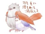  animalization archer bird emiya_shirou fate/stay_night fate_(series) 