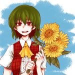  1girl ascot blush flower green_hair kazami_yuuka kikuichimonji looking_at_viewer red_eyes smile solo sunflower touhou 