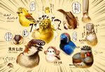  animalization bird curly_hair giorno_giovanna guido_mista hairband hat higashikata_jousuke hscatter jean_pierre_polnareff jojo_no_kimyou_na_bouken mohammed_avdol parody pompadour pun sugimoto_reimi translation_request 