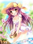  1girl blush brown_eyes dress flower happy hat long_hair pecorin purple_hair ribbon smile solo tree water 