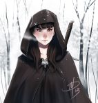  1girl a_song_of_ice_and_fire brooch brown_eyes brown_hair cape daniel_macgregor forest hood jewelry lips long_hair nature nose over_shoulder signature snow solo sword sword_over_shoulder weapon weapon_over_shoulder winter 
