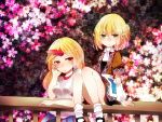  2girls blonde_hair flower hoshiguma_yuugi mizuhashi_parsee multiple_girls sitting suzune_hapinesu touhou 