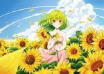  1girl alternate_costume ascot bird blue_hair clouds dress flower flower_field green_hair highres kazami_yuuka looking_at_viewer open_mouth petals pink_dress red_eyes samizuban sleeveless sleeveless_dress solo sunflower touhou 