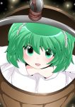  1girl blush bucket flat_chest green_eyes green_hair hair_bobbles hair_ornament hammer_(sunset_beach) in_bucket in_container kisume open_mouth short_hair solo touhou twintails 