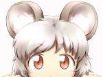  1girl animal_ears close-up face grey_hair mouse_ears nazrin peeking_out red_eyes shirosato short_hair simple_background solo touhou white_background 