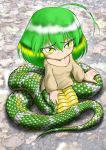  1girl ahoge blush green_hair kyuunana lamia long_hair slit_pupils snake_tail solo sweater yellow_eyes 