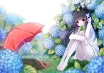  1girl bandages barefoot black_hair cat dew emia_wang flower hair_ornament hairclip leaf long_hair mouth_hold red_eyes shirt sitting solo umbrella 