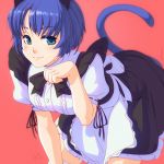  1girl animal_ears ano_natsu_de_matteru bent_over blue_eyes blue_hair cat_ears cat_tail frills looking_at_viewer maid paw_pose short_hair shunkaku solo tail tanigawa_kanna thigh-highs white_legwear 