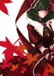  1girl autumn_leaves front_ponytail green_eyes green_hair kagiyama_hina kuronuko_neero long_hair solo touhou 