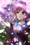  1girl akahige brown_eyes cardigan cherry_blossoms nagato_yuki purple_hair school_uniform serafuku short_hair solo suzumiya_haruhi_no_yuuutsu 