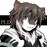  animal_ears blue_eyes brown_hair fantasy furry hairclip m_(pixiv873365) multicolored_hair solo whiskers 
