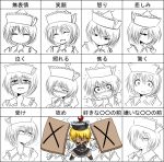  chart expressions face harusame_(unmei_no_ikasumi) lunasa_prismriver monochrome touhou translated 