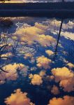  clouds cola_(gotouryouta) dusk fireflies grass no_humans original reflection scenery sky star_(sky) starry_sky tree water 