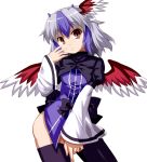  1girl ass bird_wings black_legwear blue_hair bottomless brown_eyes capelet head_wings long_sleeves looking_at_viewer multicolored_hair ozaki_(ko-zaki) shirt silver_hair simple_background solo thigh-highs tokiko_(touhou) touhou two-tone_hair white_background wide_sleeves 