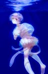  1girl blush highres jellyfish looking_back moekon open_mouth original purple_hair short_hair skirt solo underwater violet_eyes 