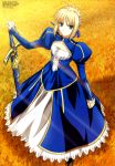  1girl absurdres fate/stay_night fate_(series) highres solo 