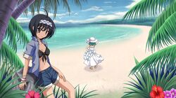  2girls beach bikini_top breasts cleavage flower from_behind highres looking_at_viewer multiple_girls outdoors short_hair shorts vfenster 