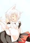  1girl animal_ears detached_sleeves fang happy highres inubashiri_momiji kokutei_n open_mouth red_eyes silver_hair solo tail touhou wolf_ears wolf_tail 