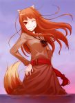  1girl absurdres animal_ears ayakura_juu blush brown_hair hand_on_hip highres holo long_hair official_art pouch red_eyes scan skirt smile solo spice_and_wolf tail wading water wink wolf_ears wolf_tail 