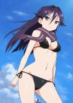  1girl bikini bird black_hair hashi kuroki_rei long_hair raven scarf swimsuit violet_eyes vividred_operation 